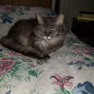 Meet your Posher, Nancy